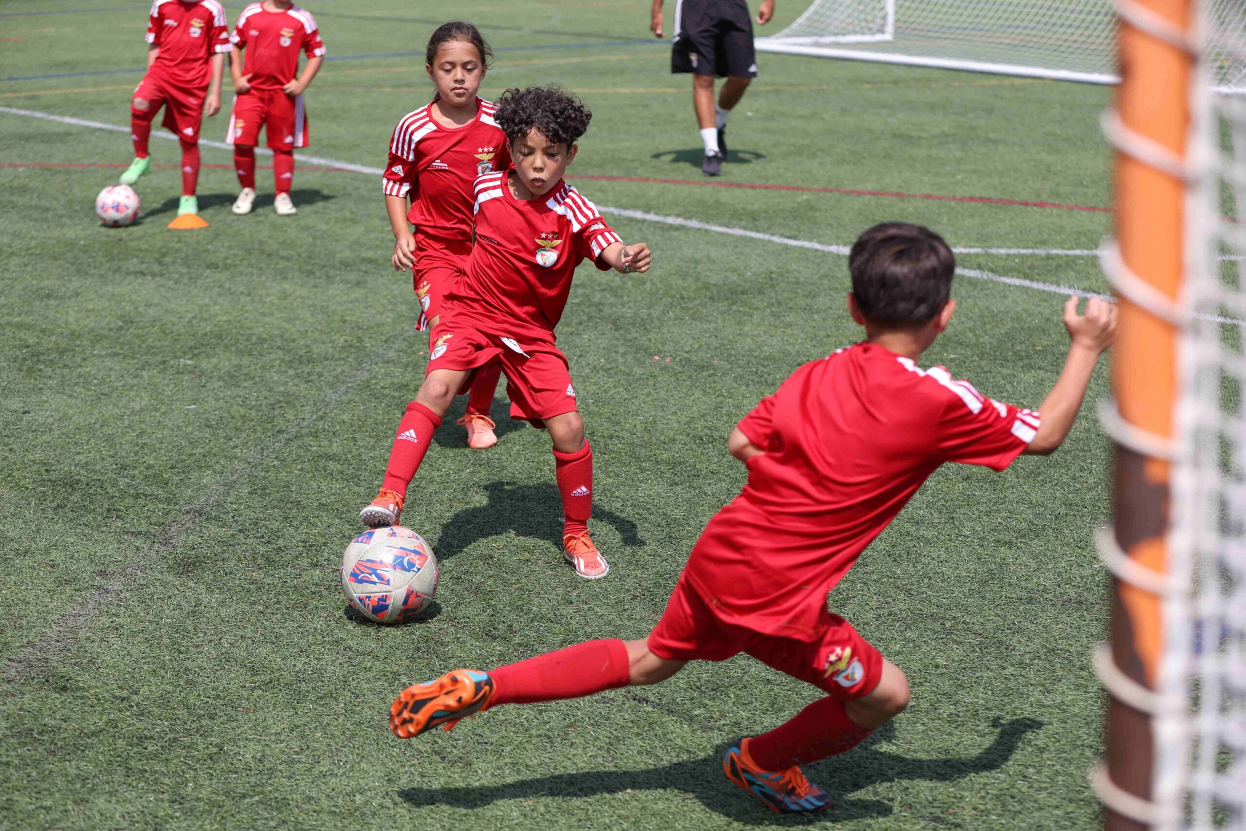 benfica development soccer camp