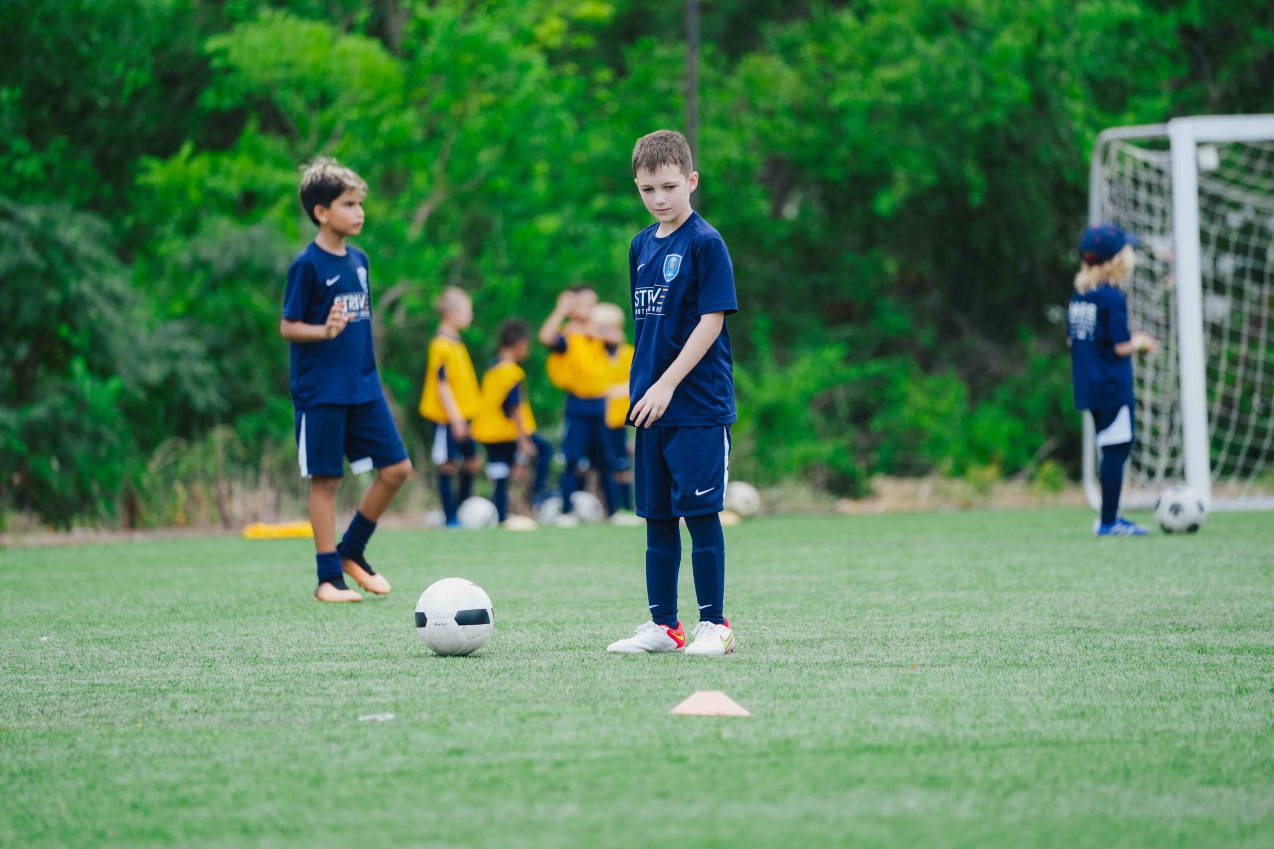 training clinics in Europe